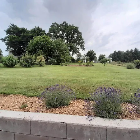 Vakantiehuis Le Pierre Et Bois Houffalize